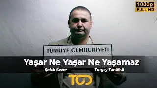 Yaşar Ne Yaşar Ne Yaşamaz (2008) | Şafak Sezer - Turgay Tanülkü - Tarık Mengüç