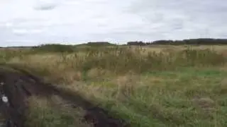Хроника одной поездки (охота в Омской области)