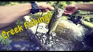 Breckenridge Reservoir Quantico VA Fishing
