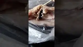 Тухлая рыба с Тухачевского