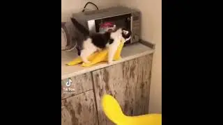 Маленький помощник