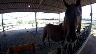 GoPro HERO+ LCD Video sample Review