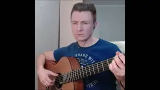 The Terminator - Theme (guitar, гитара)