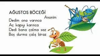 AĞUSTOS BÖCEĞİ