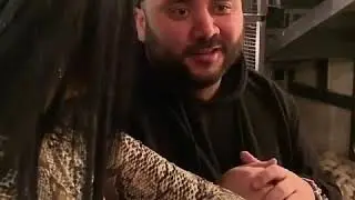 Сека вайн
