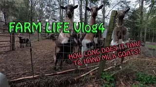 Farm Life Vlog4-evening time tending milk goats