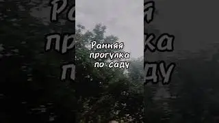 Прогулка ранним утром. Лепотаааа