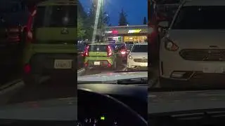Zelda fans drive Kia Souls