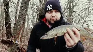 Ловля хищника на поплавок поздней осенью