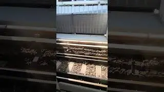 Tennis ball in MRT track 😯🤷‍♀️ #shorts #Singapore #tennis #mrt