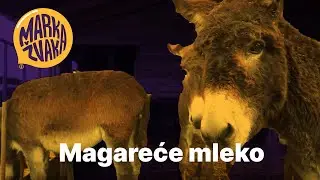 Marka Žvaka - Magareće mleko