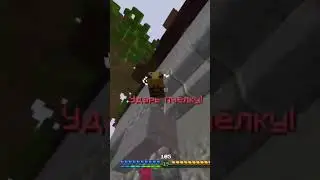 Открыл дк а там... #funtime #minecraft