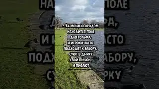 1 июня 2024 г.