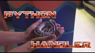 Python Handler