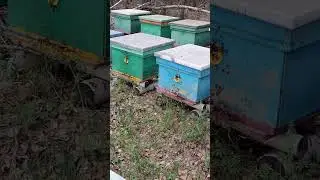 второй точек