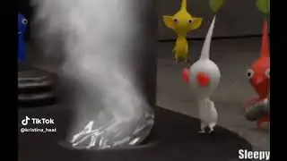 white pikmin had enough