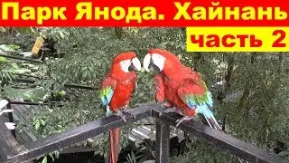 Тропический лес. Парк Янода. Лучшая экскурсия. Хайнань. Китай