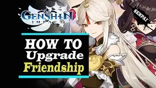 Genshin Impact | How to Upgrade Friendship Guide