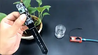 WiFi Project: Lora Soil Moisture Sensor- MicroPython + ESP32 + Lora