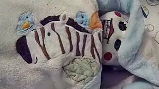 Where’s My Child?!