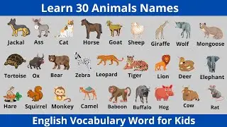 Learn Animals Names || English Vocabulary Word for Kids