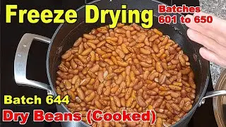 Batch 644 - Freeze Drying Dry Beans, Cooked