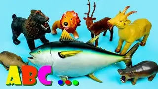 ABC ALPHABET ANIMALS | ANIMAL NAMES & ANIMAL SOUNDS | TODDLER LEARNING VIDEOS