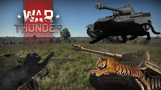 Black Cat vs Tigre, Panther