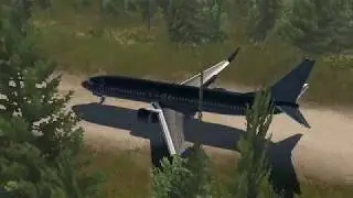 Boe3ing 737-800 landing MACHMELL FISHERIES (MACH)