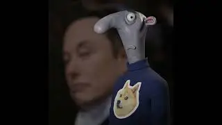 A few thoughts about Elon Musk