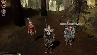 Dragon Age Origins. Маленький пикокрут