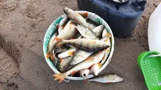 БЕШЕНЫЙ КЛЁВ ОКУНЯ, ОТВЕЛИ ДУШУ ПО ПОЛНОЙ! КАЖДОМУ ЖЕЛАЕМ ТАКОЙ КЛЁВ.