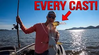 Throwing BIG Crankbaits for BIG Bass and Catching Them EVERY Cast | Lake Guntersville Bass Fishing!!