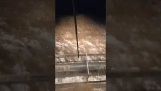 Молотим пшеницу ночью в -15. Сыпит неплохо.