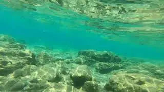Phaselis Antik Kenti Antalya - рыбки, снорклинг, турция