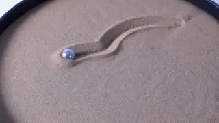 Are these science tricks for real? Let's check them out.#science #scienceexperiment