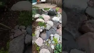 Interactive Water Feature! 