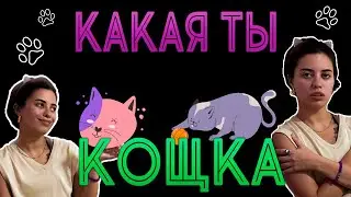 КАКАЯ ТЫ КОЩКА 🐾 ТАРО РАСКЛАД