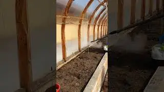 Обработка теплицы