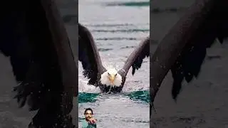 most power full  