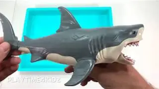 Sharks for Kids Learn to Count With Sea Animal Toys