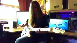Black Cow - Steely Dan guitar cover