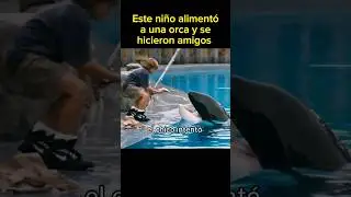 Este chico se hizo AMIGO de una ORCA #cortos #resumenpeliculas #pelicula