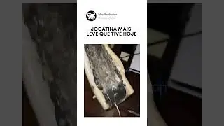 A jogatina mais leve que tive hoje 😭