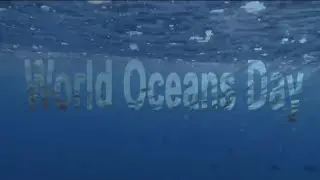 ‼️DIA MUNDIAL DE LOS OCÉANOS‼️ By Pepe Esteban Infantes y Ruido en la Cocina®