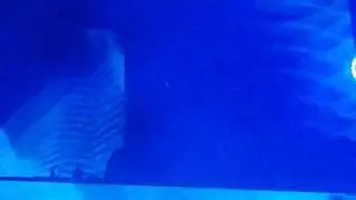 John Digweed played Last Of Me - Circle Of Life (Original Mix) @ Forja Outdoor Argentina 20/1/2017
