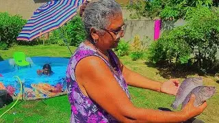 Cooking Curry Tilapia and Curry Chicken with Aunty Helen