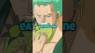 Zoro has devil fruit powers