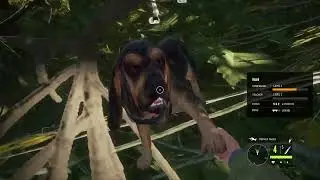 the Hunter: Call of The Wild Always Look For The Buck