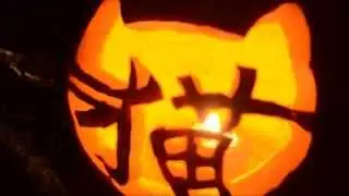 Nekko pumpkin project